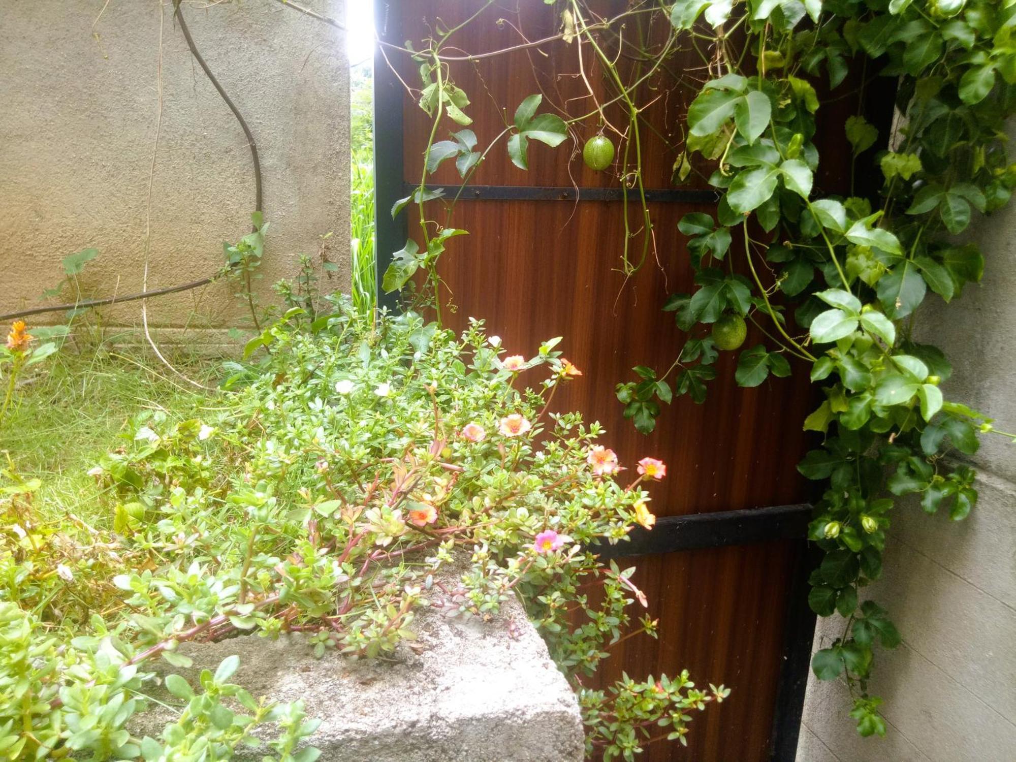 Ella Delightful Surround Homestay Exterior foto